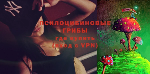 apvp Кострома