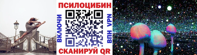 Галлюциногенные грибы Psilocybine cubensis  Купить  Чадан 